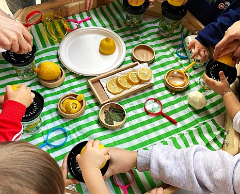 PediPlay temalı oyun PediPlay temalı oyun